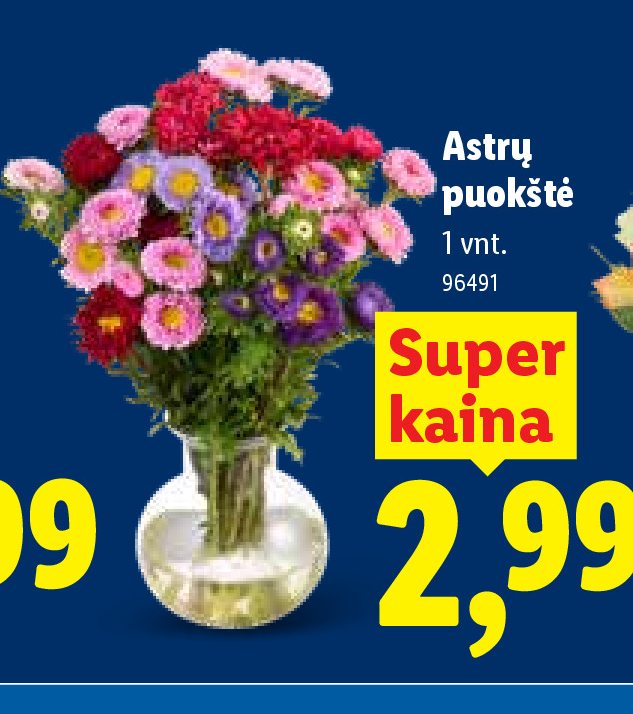 Astrų puokštė, 1 vnt