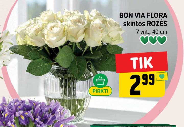 BON VIA FLORA skintos ROŽĖS, 7 vnt