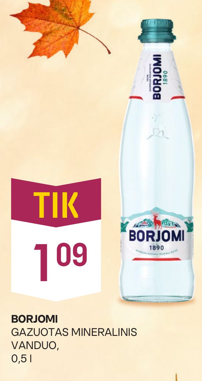 BORJOMI GAZUOTAS MINERALINIS VANDUO, 0.5 l