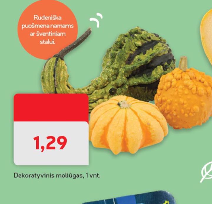 Dekoratyvinis moliūgas, 1 vnt