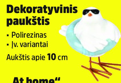 Dekoratyvinis paukštis
