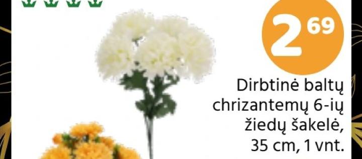 Dirbtinė baltų chrizantemų 6-ių žiedų šakelė, 35 cm