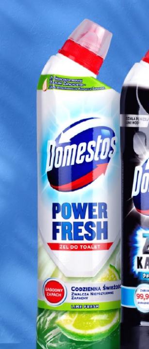 Domestos Power Fresh