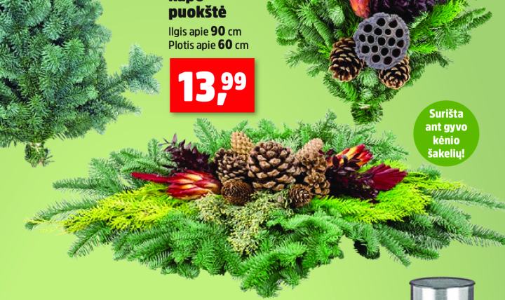 Dviguba kapo puokštė