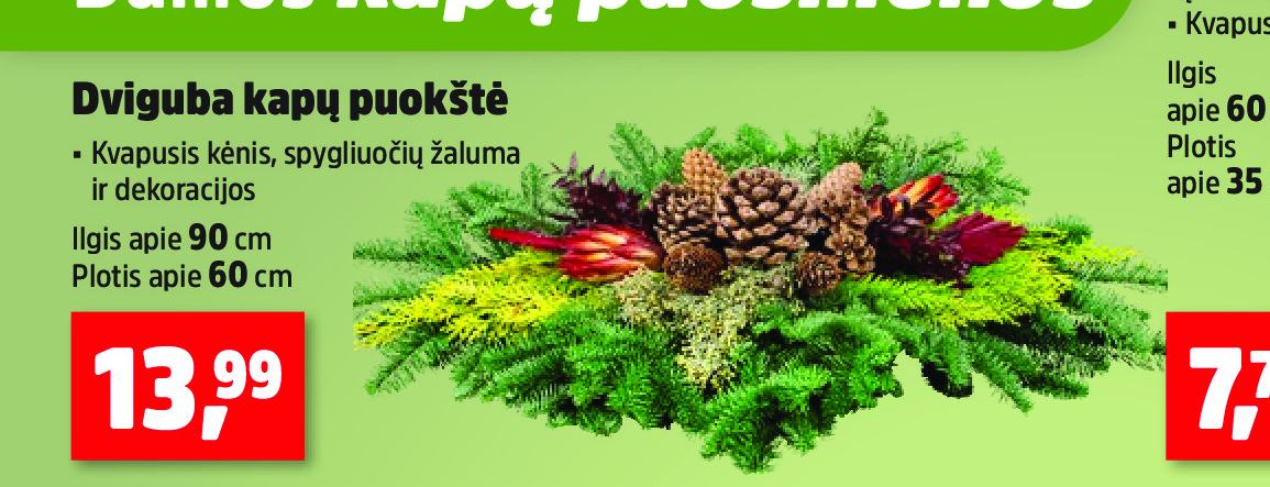 Dviguba kapų puoštė, 90 cm