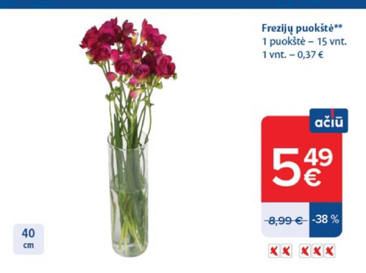 Frezijų puokštė, 15 vnt