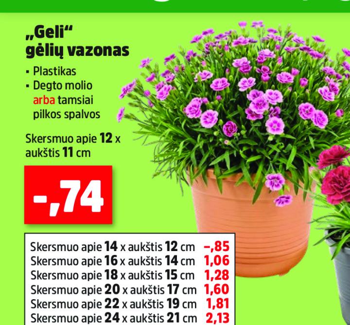 „Geli“ gėlių vazonas, 11 cm