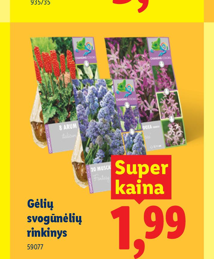Gėlių svogūnėlių rinkinys