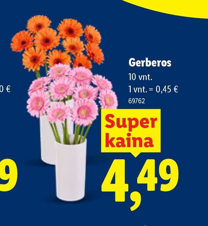 Gerberos, 10 vnt