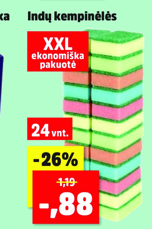 Indų kempinėlės, 24 vnt