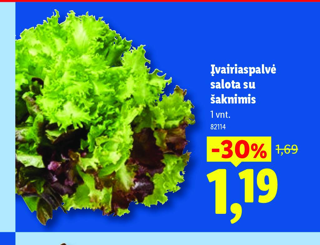 Įvairiaspalvė salota su šaknimis, 1 vnt
