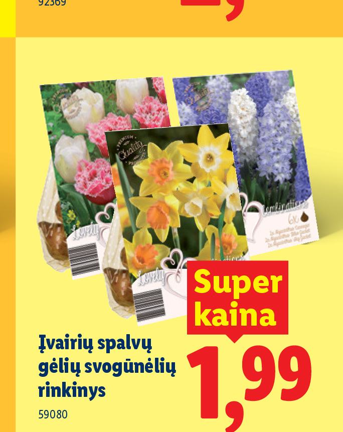 Įvairių spalvų gėlių svogūnėlių rinkinys