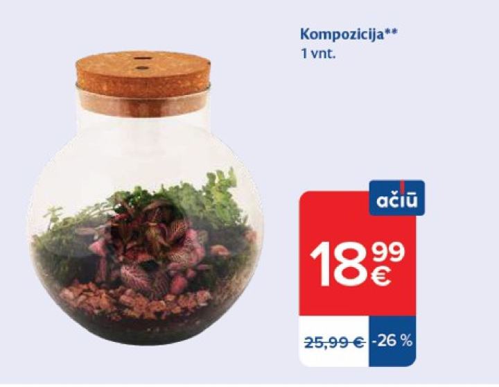 Kompozicija, 1 vnt