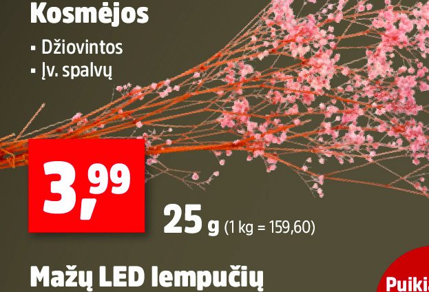 Kosmėjos, 25 g