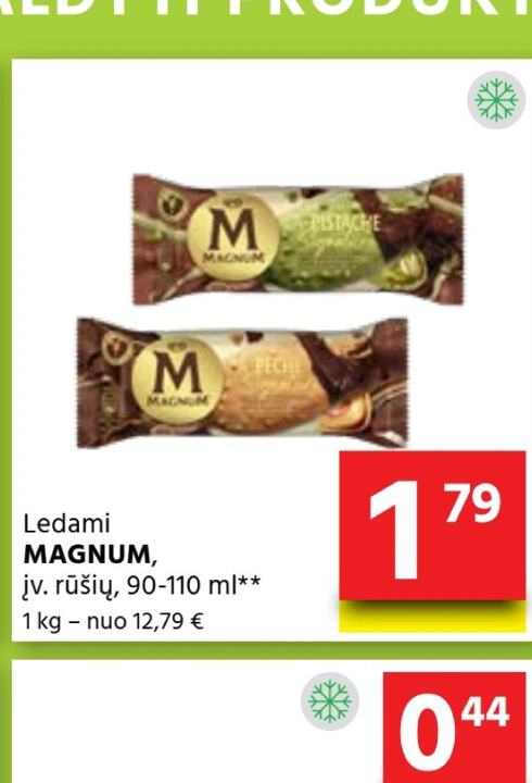Ledami MAGNUM, 110 ml