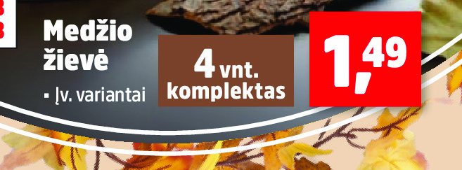 Medžio žievė, 4 vnt