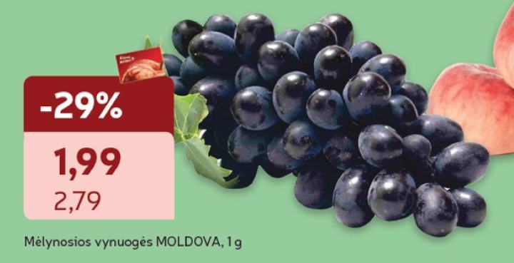 Mėlynosios vynuogės MOLDOVA, 1 g