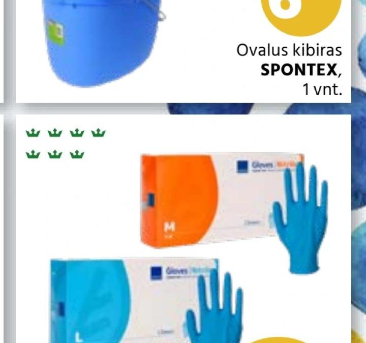 Ovalus kibiras SPONTEX, 1 vnt