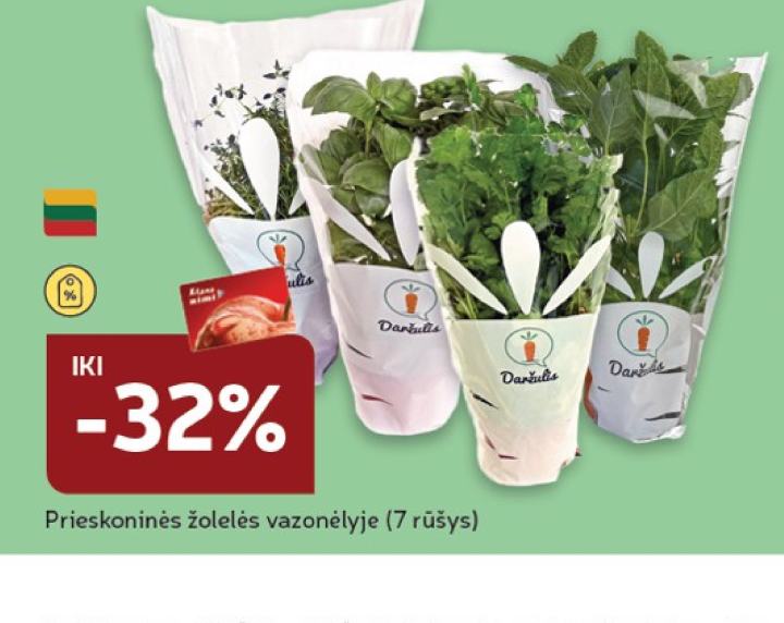 Prieskoninės žolelės vazonėlyje