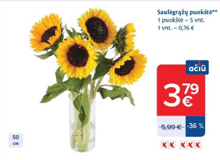Saulėgrąžų puokštė, 5 vnt