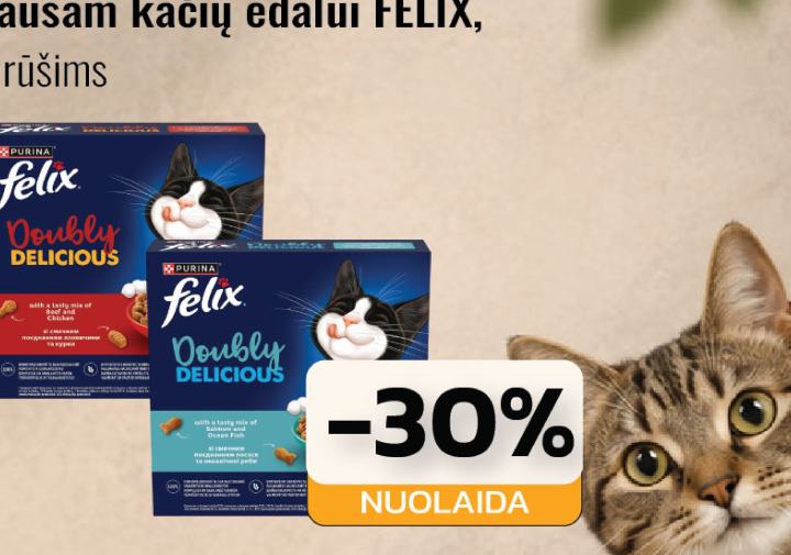 Sausam kačių ėdalui FELIX