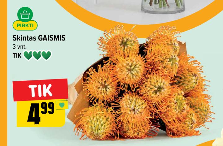 Skintas GAISMIS, 3 vnt