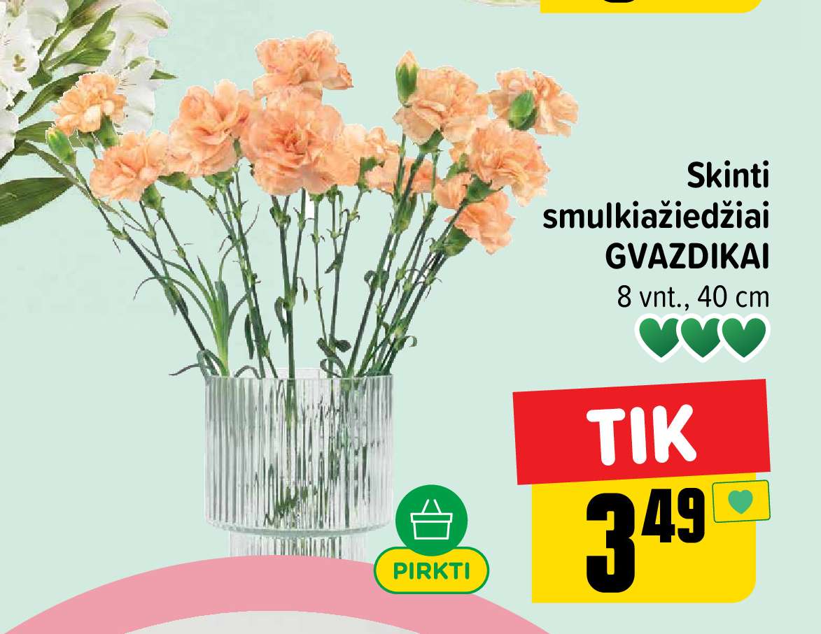 Skinti smulkiažiedžiai GVAZDIKAI, 8 vnt