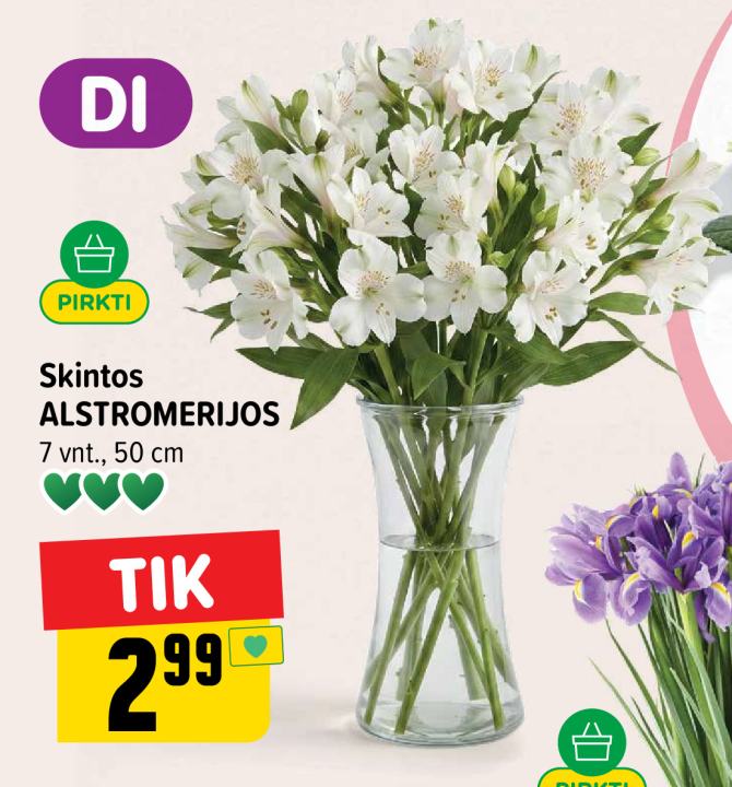 Skintos ALSTROMERIJOS, 7 vnt