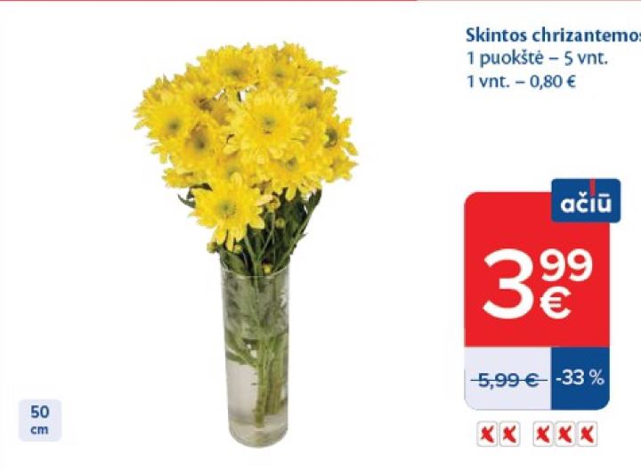 Skintos chrizantemos, 5 vnt