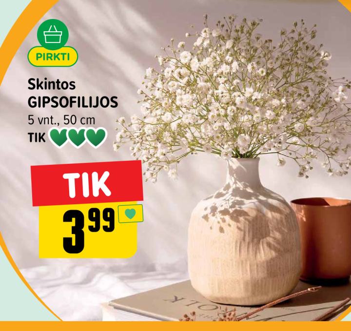 Skintos GIPSOFILIJOS, 5 vnt