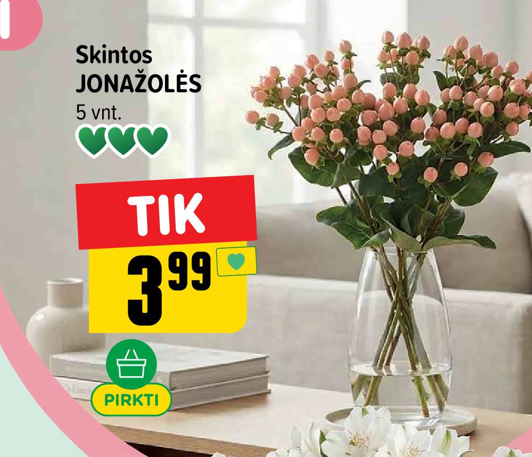 Skintos JONAŽOLĖS, 5 vnt