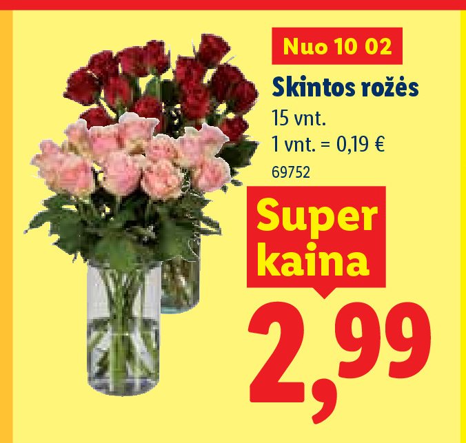 Skintos rožės, 15 vnt