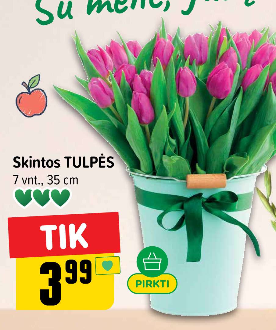 Skintos TULPĖS, 7 vnt