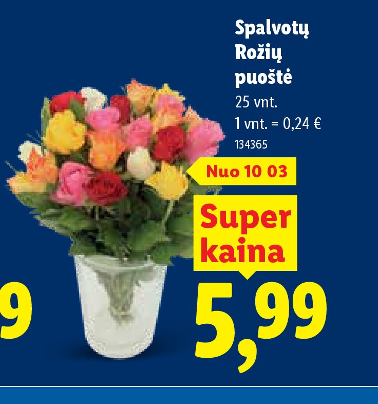 Spalvotų Rožių puokštė, 25 vnt