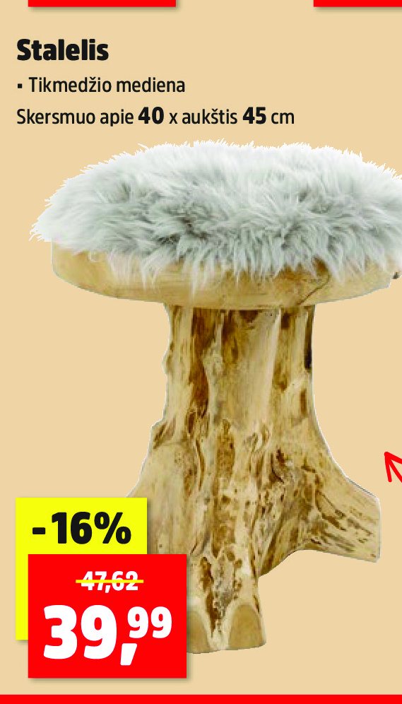 Stalelis, 45 cm