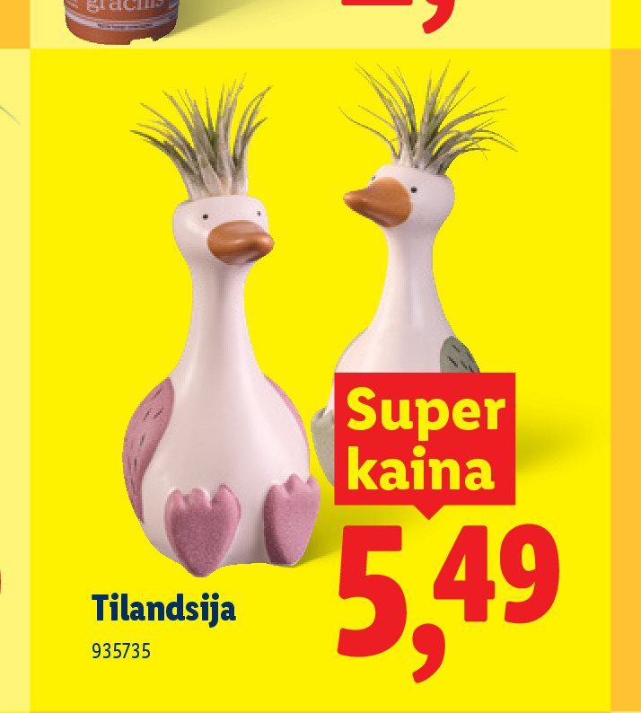 Tilandsija