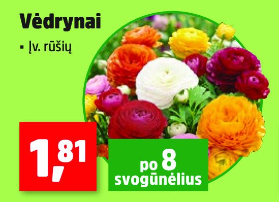Vėdrynai