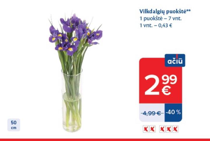 Vilkdalgių puokštė, 7 vnt