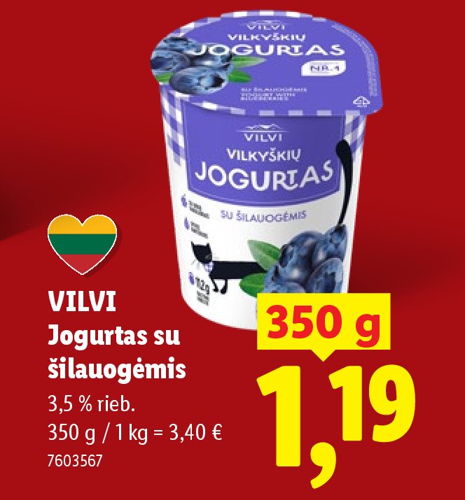 VILVI Jogurtas su šilauogėmis, 350 g