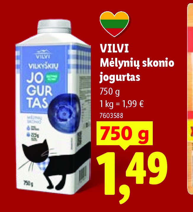 VILVI Mėlynių skonio jogurtas, 750 g