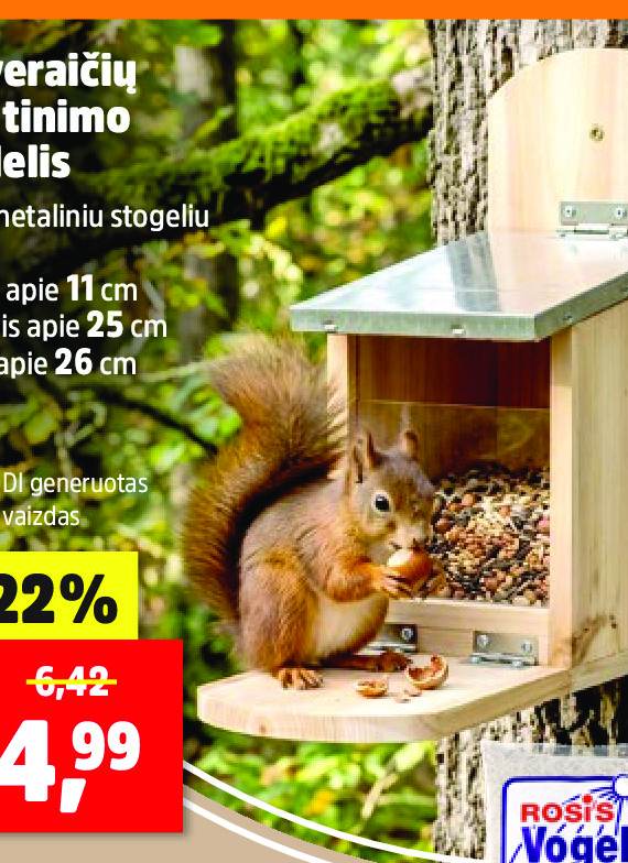 Voveraičių maitinimo stalelis, 11 cm