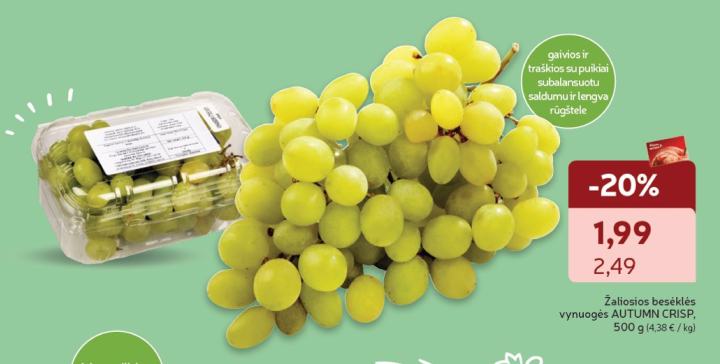 Žaliosios besėklės vynuogės AUTUMN CRISP, 500 g