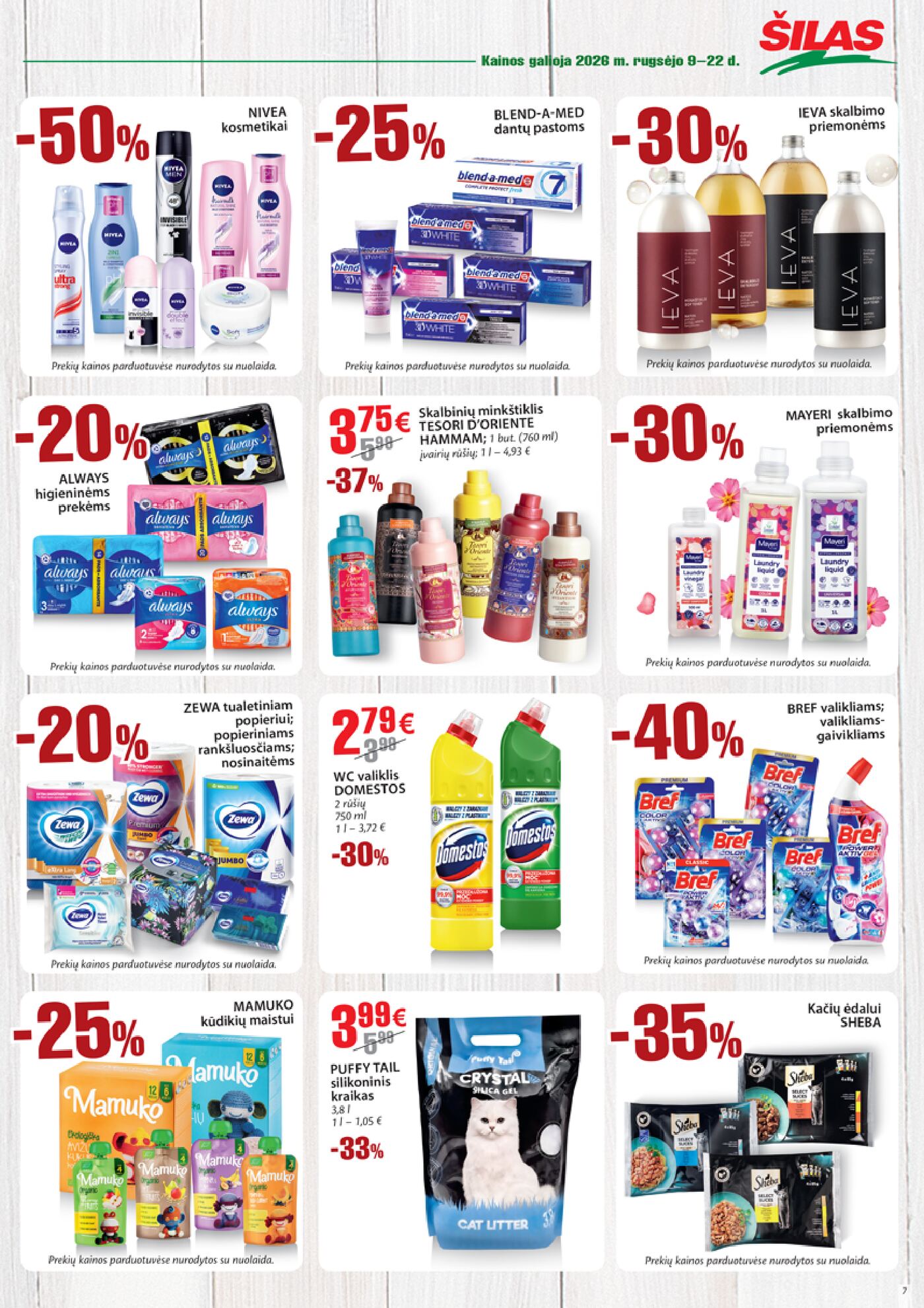 Šilas leidinys Nr. 18 – 7 puslapis