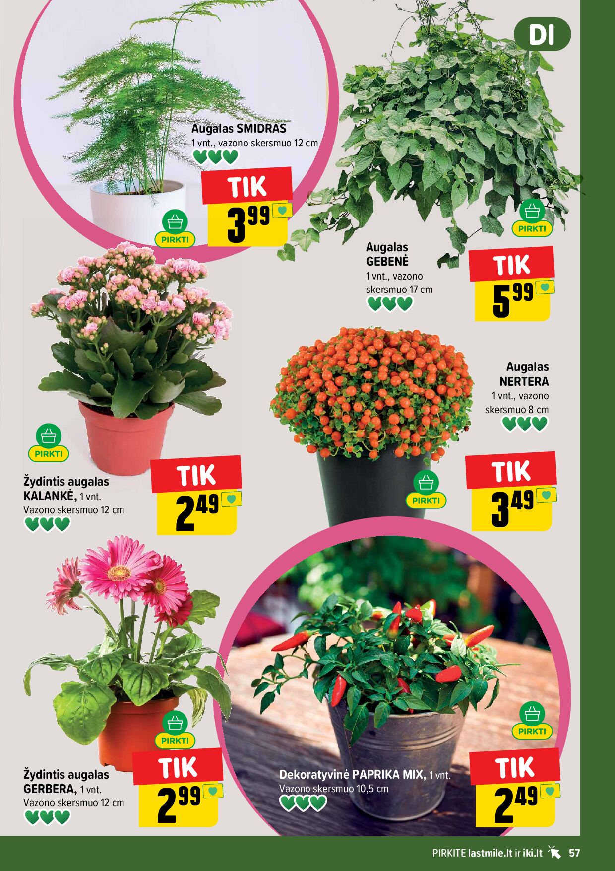 IKI Kainų leidinys Nr. 38 – 57 puslapis