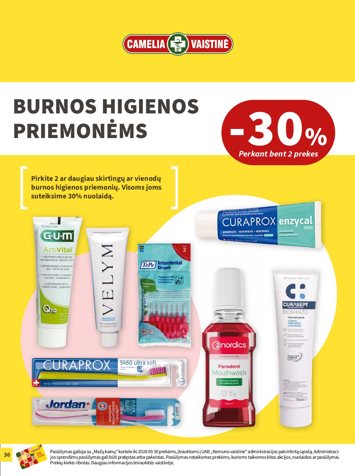 Camelia RUGSĖJO leidinys – 36 puslapis