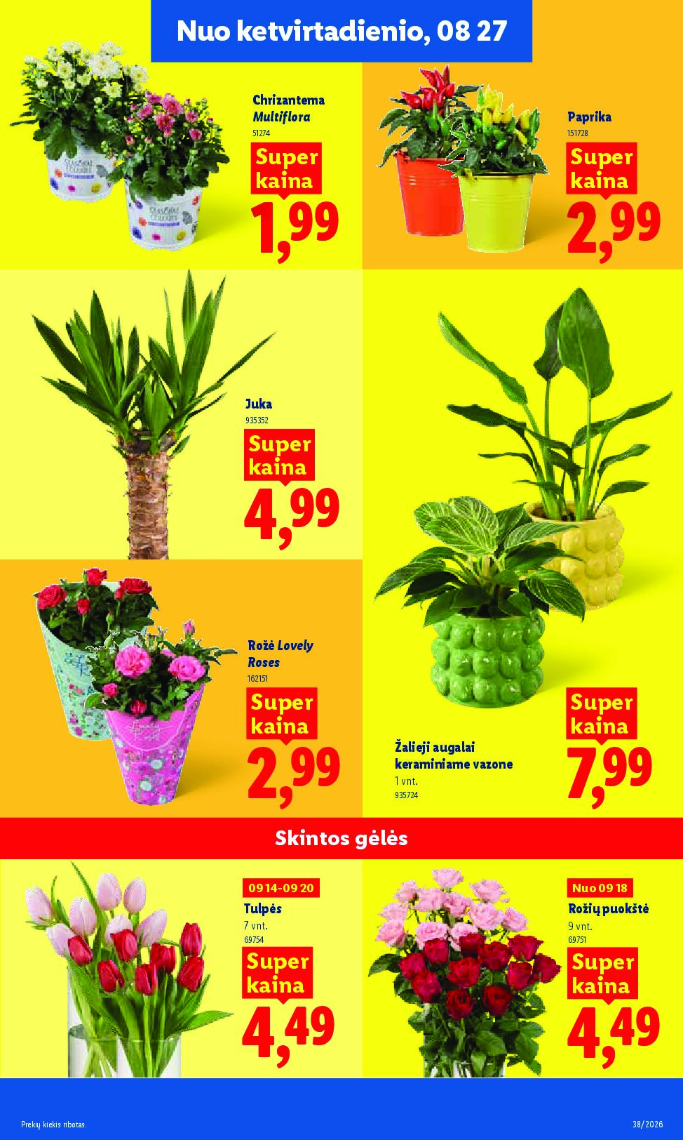 Naujas Lidl leidinys - MAISTO PREKIŲ PASIŪLYMAI Nr.38 – 21 puslapis