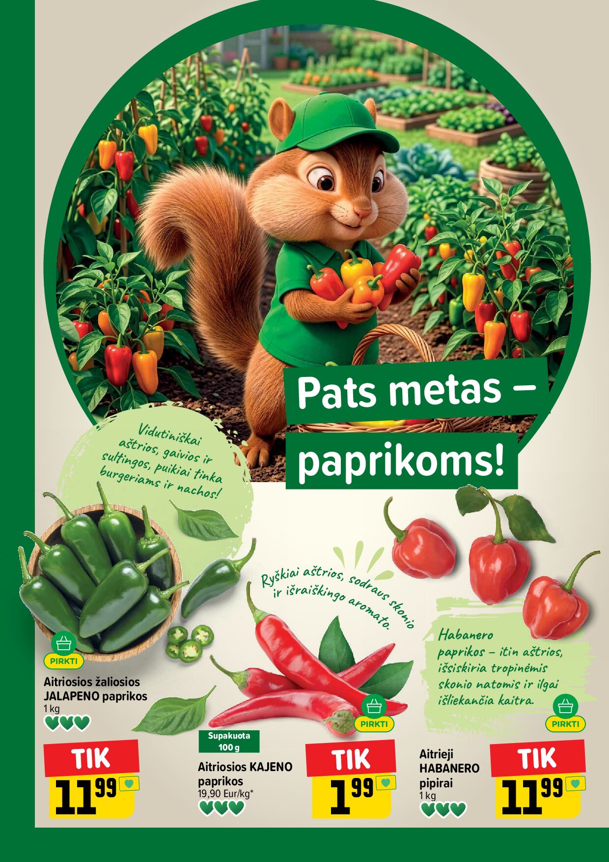 IKI Kainų leidinys Nr. 39 – 12 puslapis