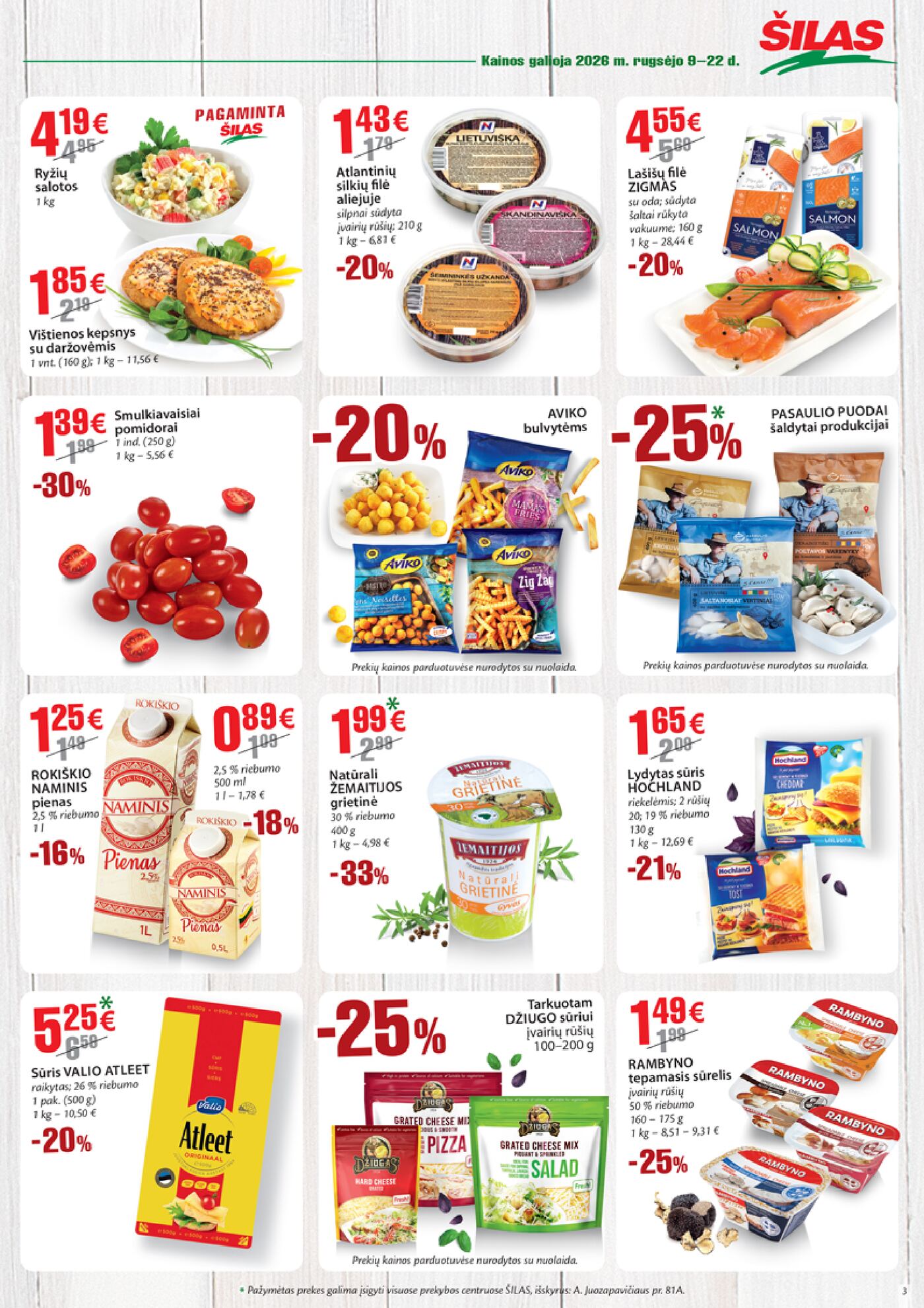Šilas leidinys Nr. 18 – 3 puslapis