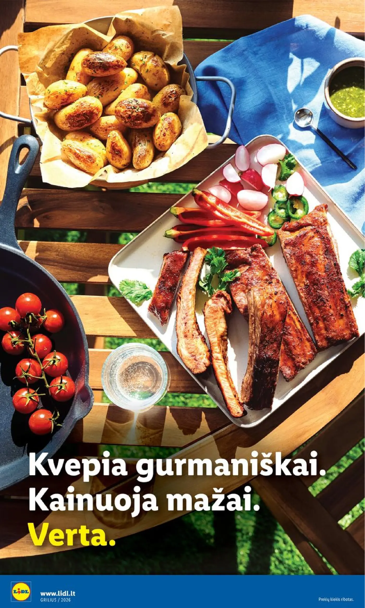 Naujas Lidl nuolaidų leidinys - Grilio katalogas Nuo pirmadienio, 04 06 Nr.15 – 10 puslapis