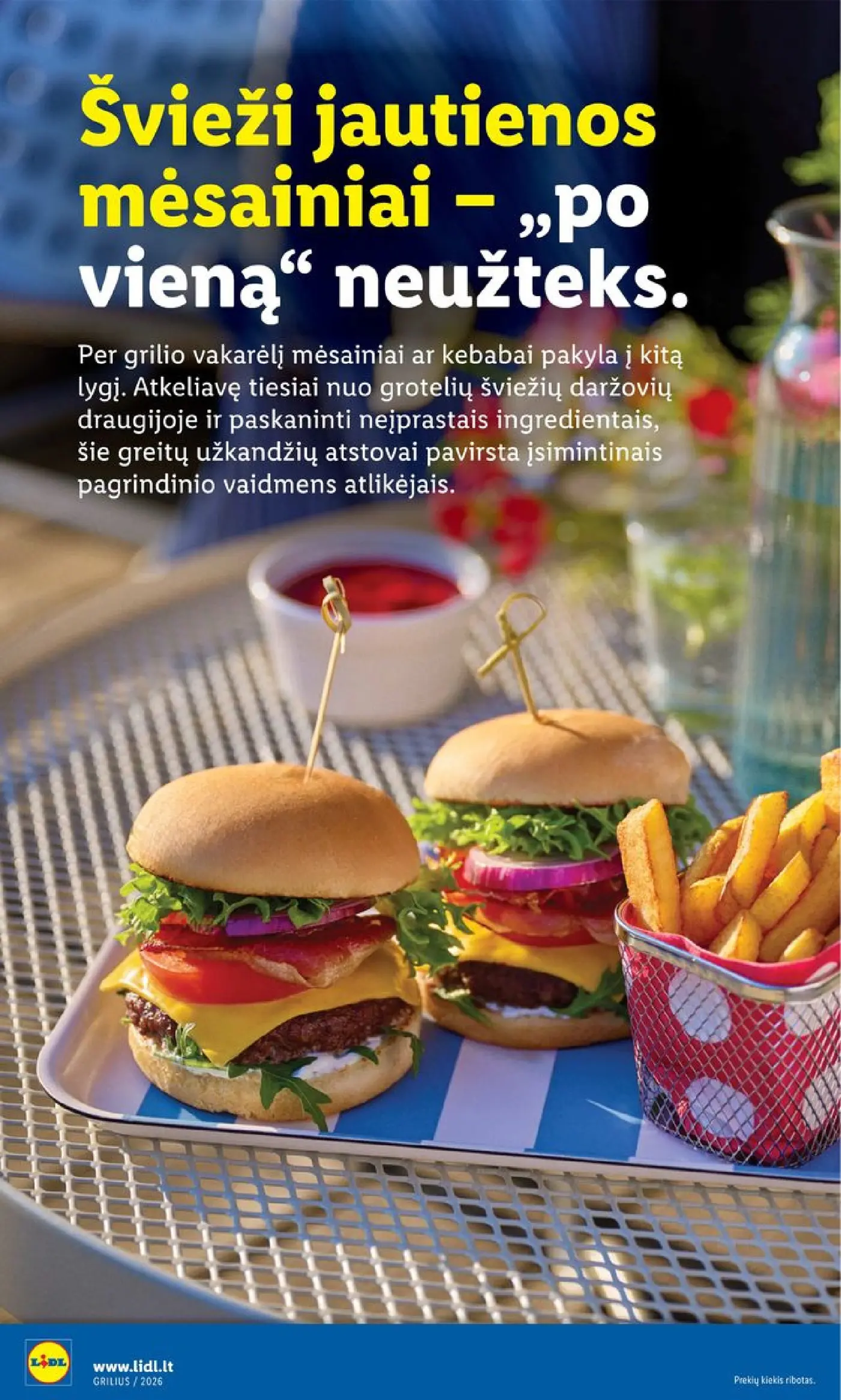 Naujas Lidl nuolaidų leidinys - Grilio katalogas Nuo pirmadienio, 04 06 Nr.15 – 14 puslapis